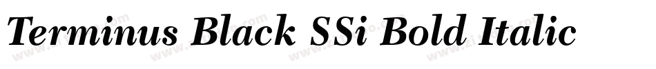 Terminus Black SSi Bold Italic字体转换